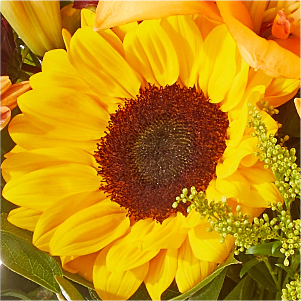 Seasons Change Bouquet –  Greenery Plus Florist, Monroe NY