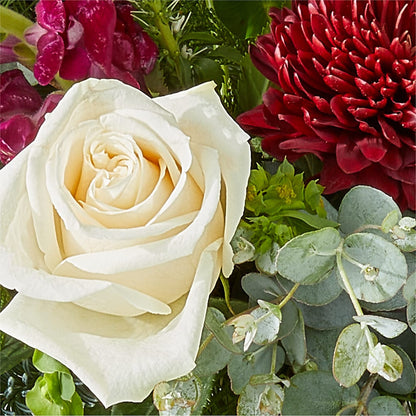 Cranberry Fizz Bouquet –  Greenery Plus Florist, Monroe NY