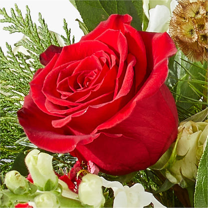 Deck the Halls Bouquet –  Greenery Plus Florist, Monroe NY
