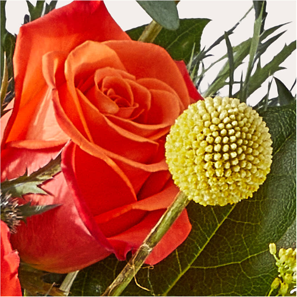 Disco Bouquet –  Greenery Plus Florist, Monroe NY