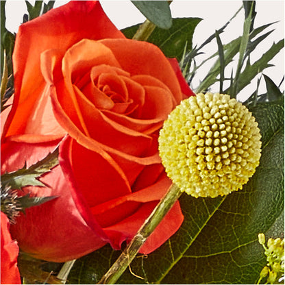 Disco Bouquet –  Greenery Plus Florist, Monroe NY