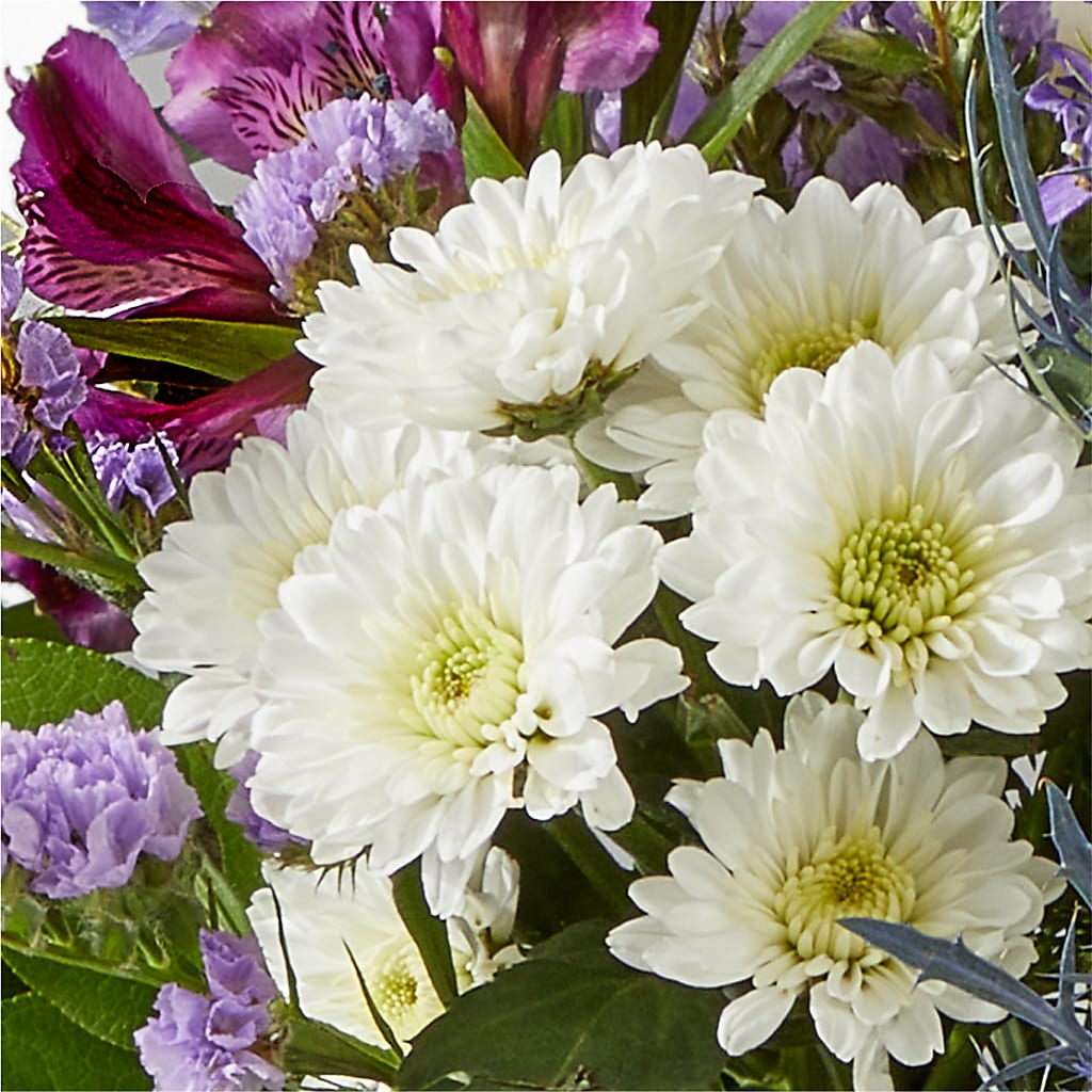 Shooting Star Bouquet –  Greenery Plus Florist, Monroe NY