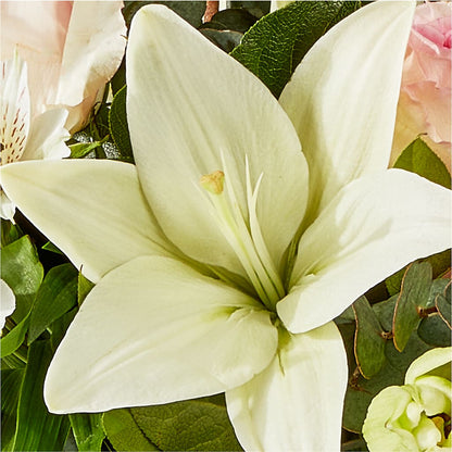 Ballet Slippers Bouquet –  Greenery Plus Florist, Monroe NY