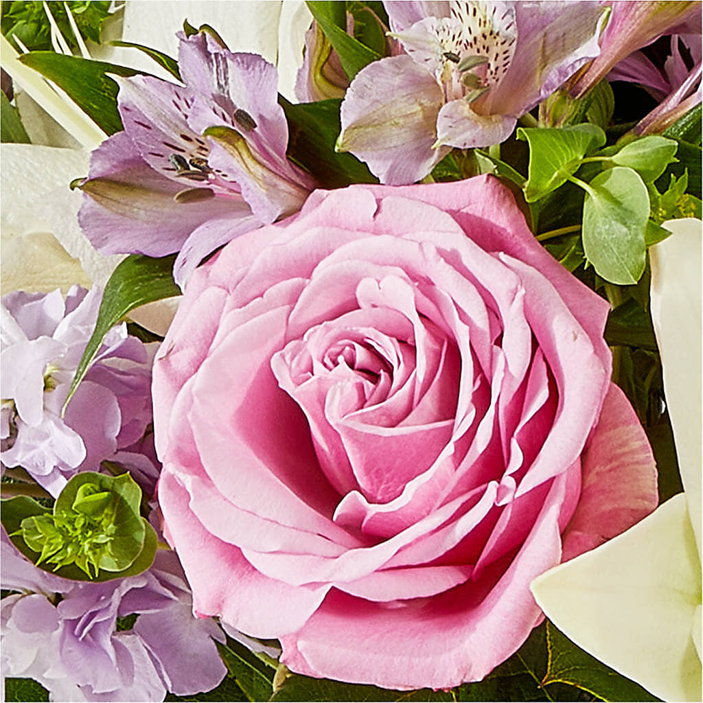 Daydreamer Bouquet –  Greenery Plus Florist, Monroe NY