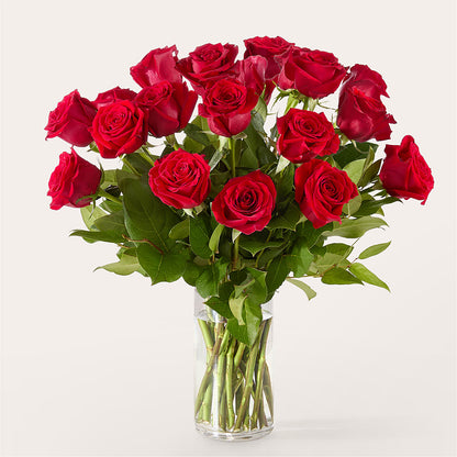 The One Red Rose Bouquet –  Greenery Plus Florist, Monroe NY