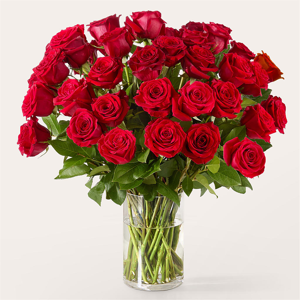 The One Red Rose Bouquet –  Greenery Plus Florist, Monroe NY