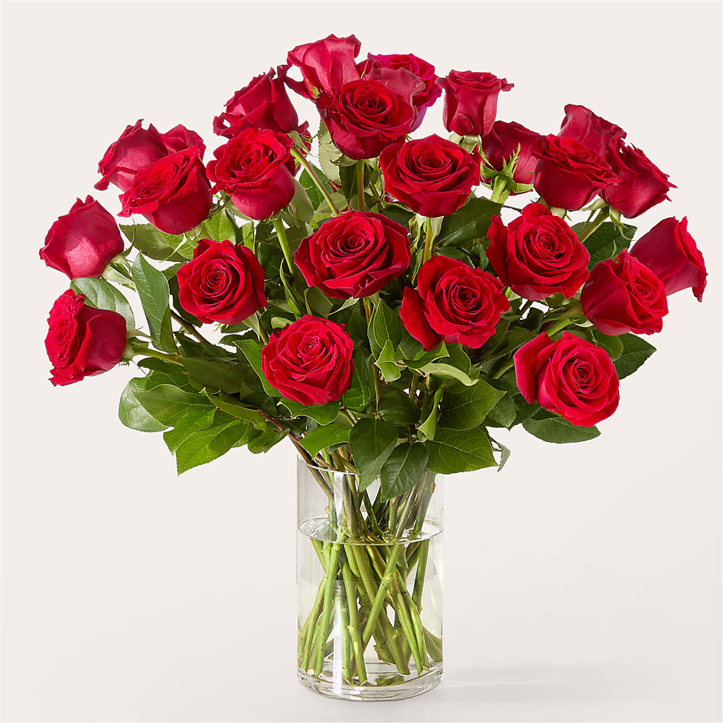 The One Red Rose Bouquet –  Greenery Plus Florist, Monroe NY