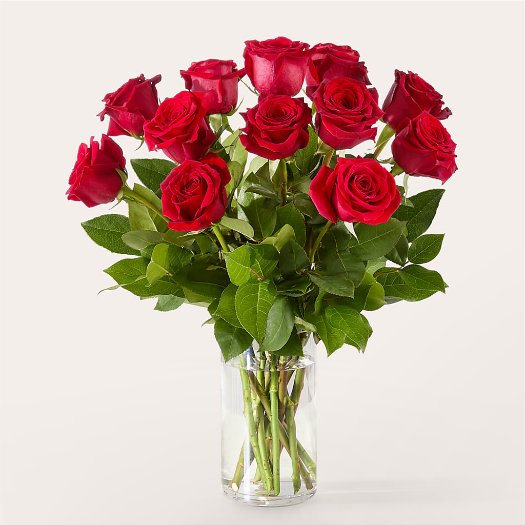The One Red Rose Bouquet –  Greenery Plus Florist, Monroe NY
