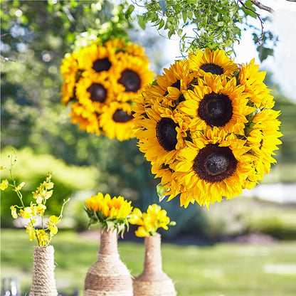 Sublime Garden Hanging Arrangement –  Greenery Plus Florist, Monroe NY