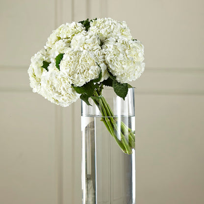 White Hydrangea Hand-Tied Bouquet –  Greenery Plus Florist, Monroe NY