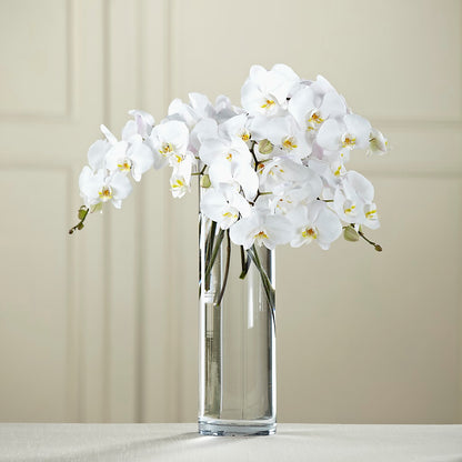White Phalaenopsis Bouquet –  Greenery Plus Florist, Monroe NY