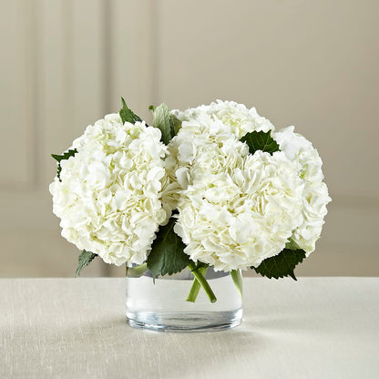 White Hydrangea Bouquet –  Greenery Plus Florist, Monroe NY